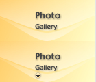 Photo Gallery