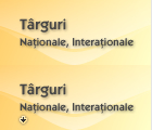 T�rguri �i expozi�ii na�ionale �i interna�ionale